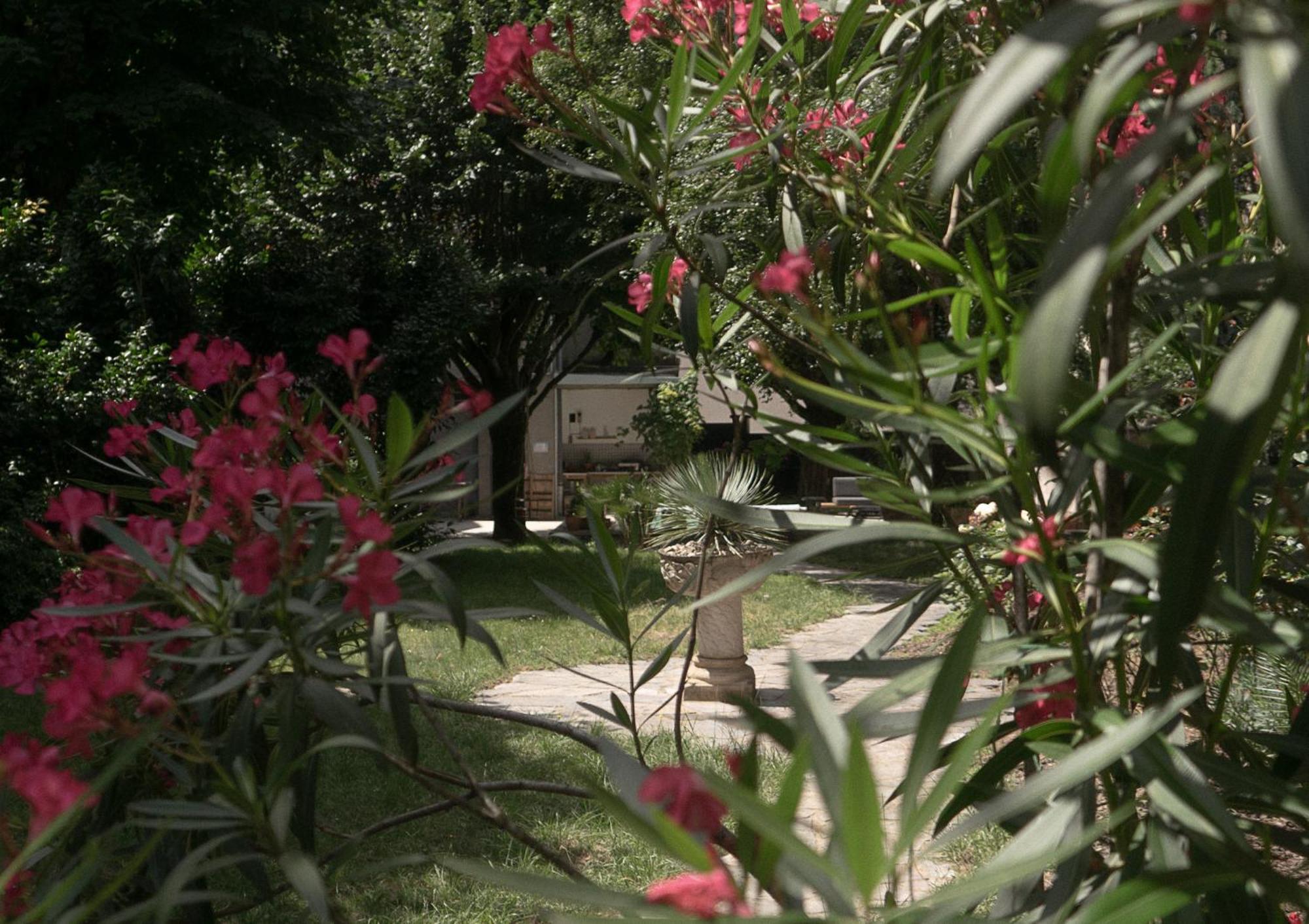 Residence Midi Mazamet Extérieur photo